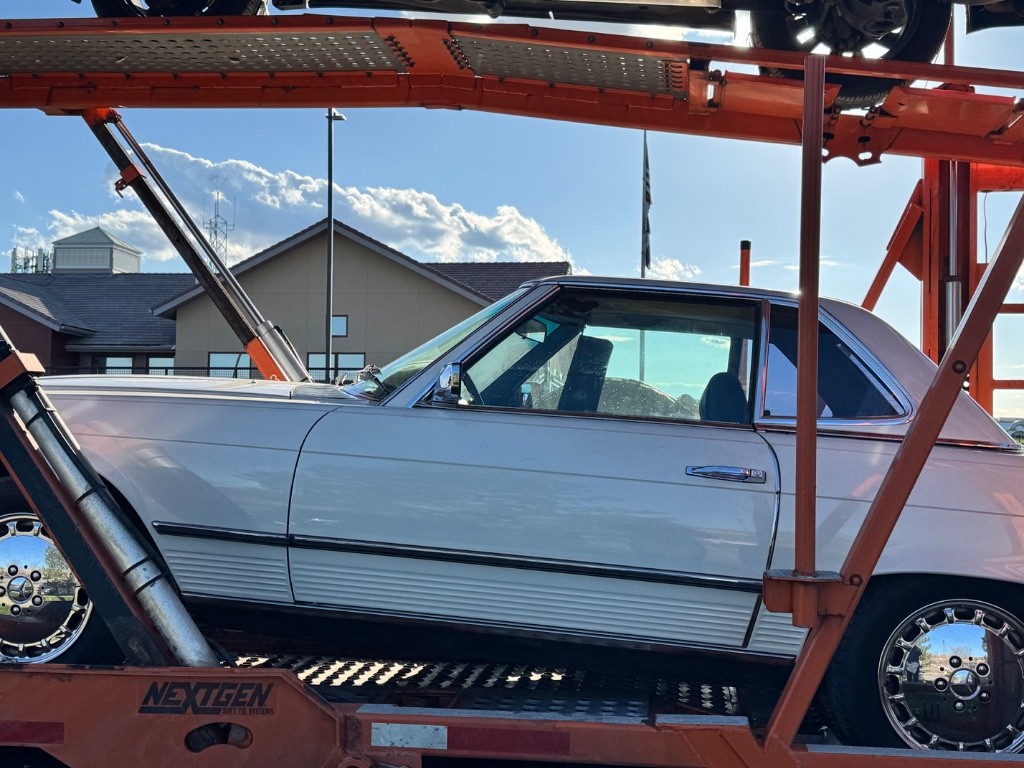 Photo by Tara Hsu of Sonic auto transport - Large