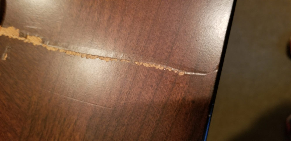 Second photo by Warren Mcgrew of Motivated Movers - Large