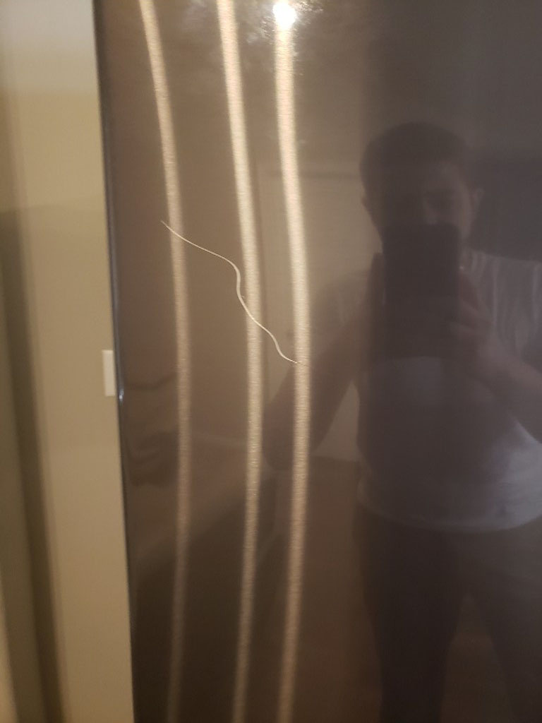 Second photo by Mohamed Ismail of Anything Goes Moving - Large