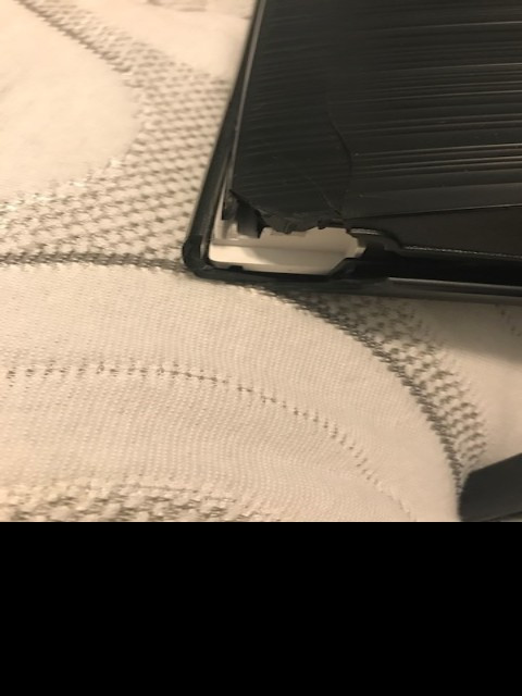 Second photo by Lauren Willis of Always Moving Inc. - Large