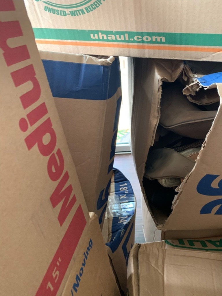 Second photo by Sydney Davidson of American Knights Moving - Large