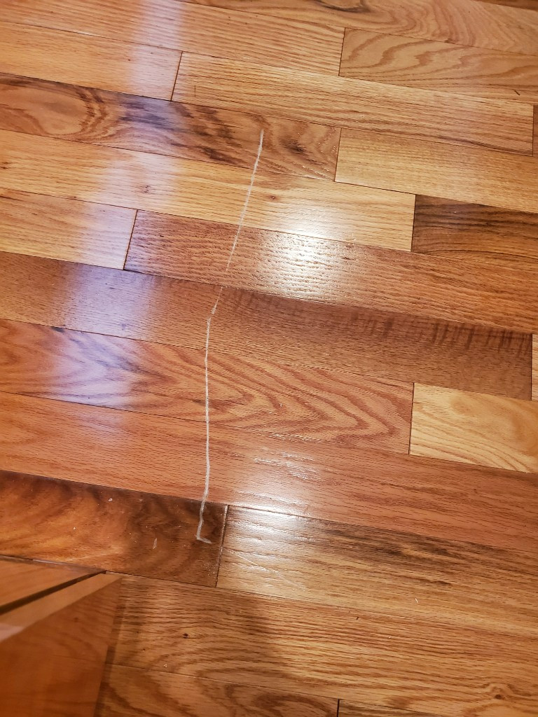 Second photo by Raj Bal of JoChas Moving & Delivery - Large