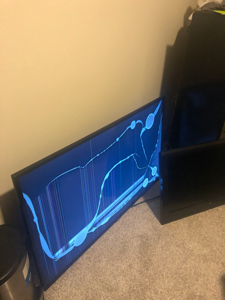 Photo by Christian Ross of Geo Van Lines - Large