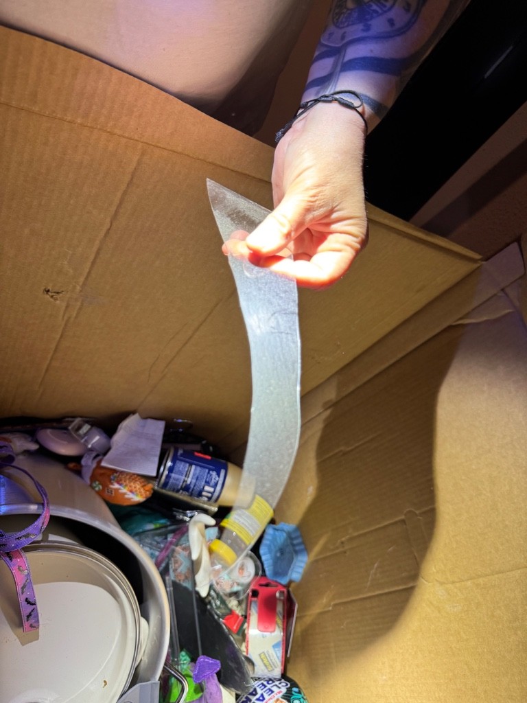 Second photo by Ashley Bolt of American Family Mover - Large