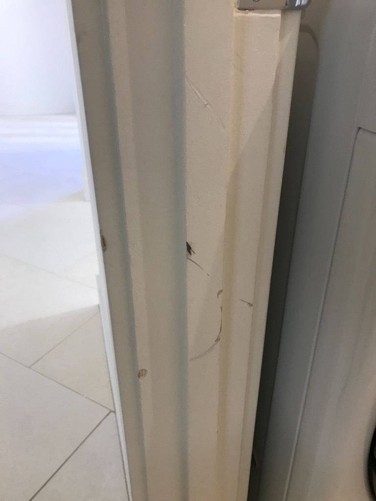 Second photo by Cindy Morales of Muscular Moving Men - Large