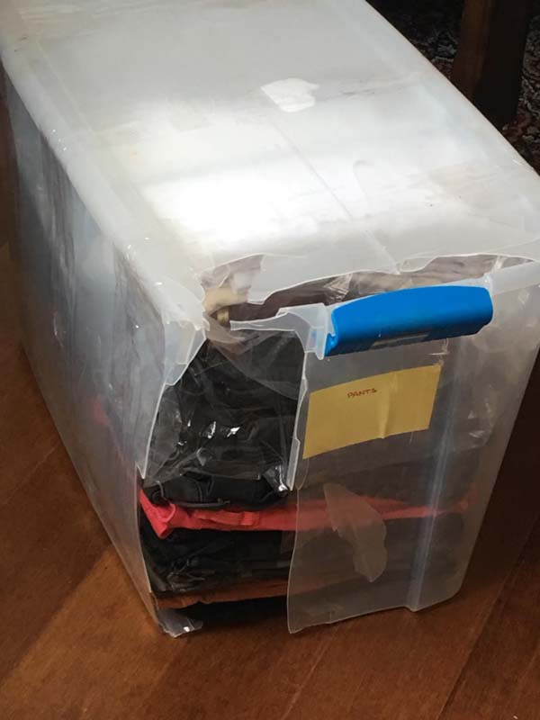 Second photo by Olga of Moving Relocation Systems - Large