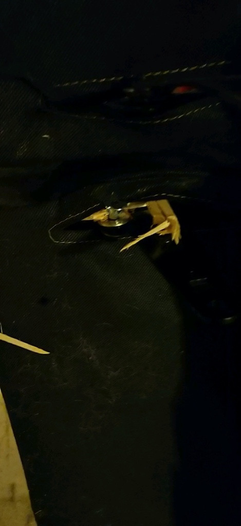 Second photo by Marco Hernandez of Diehard Movers Denver - Large