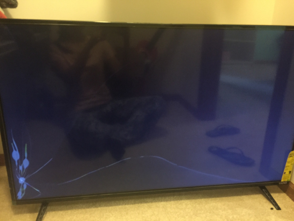 Second photo by Rosa Ferreira of Two Men and a Truck - Large