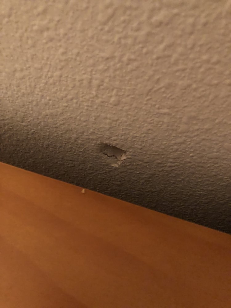 Photo by Marissa Cruz of All My Sons Moving and Storage - Large