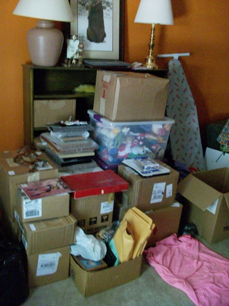 Photo by Lena Northridge of Safe Ship Moving Services - Large