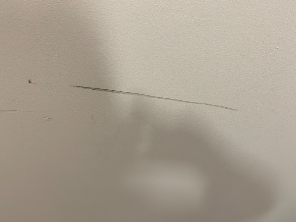 Second photo by Marie Vernon of All My Sons Moving and Storage - Large