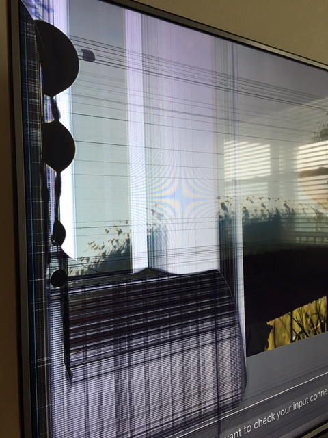 Second photo by Wilma Rivera of Strongman Movers - Large