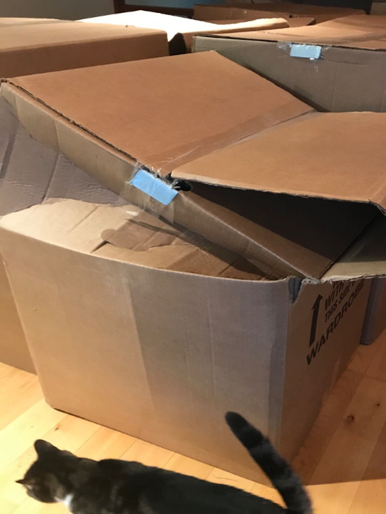 Second photo by Peggy Means of Tierney Van Lines - Large