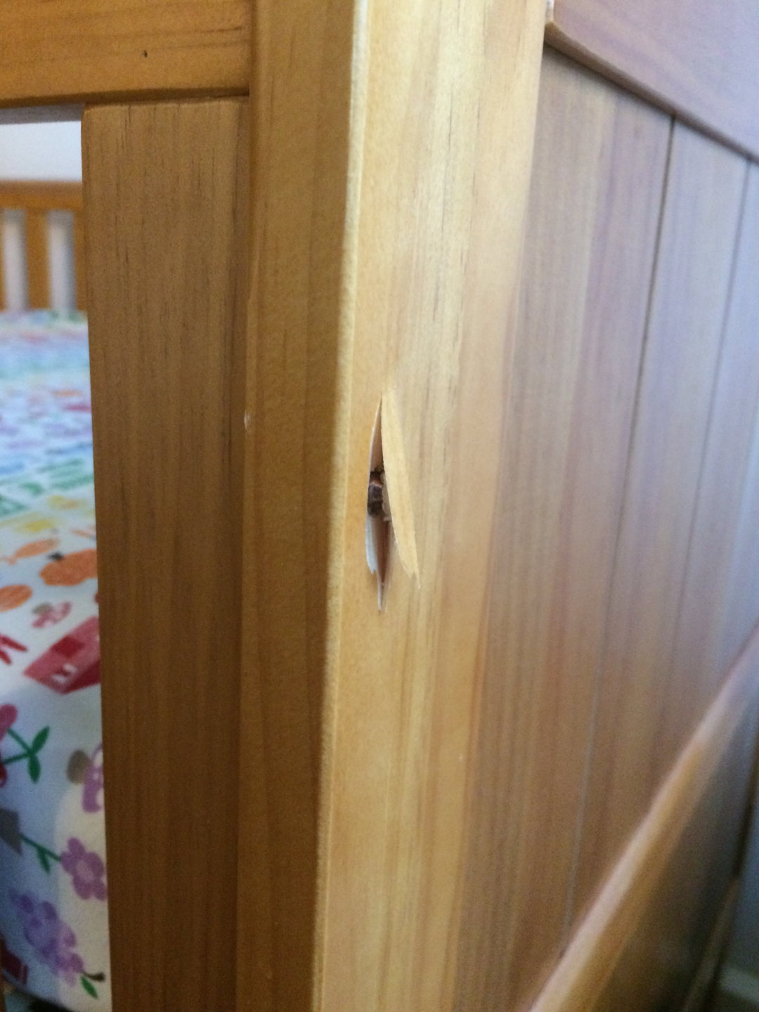 Second photo by Jenny Edwards of Movers Not Shakers - Large