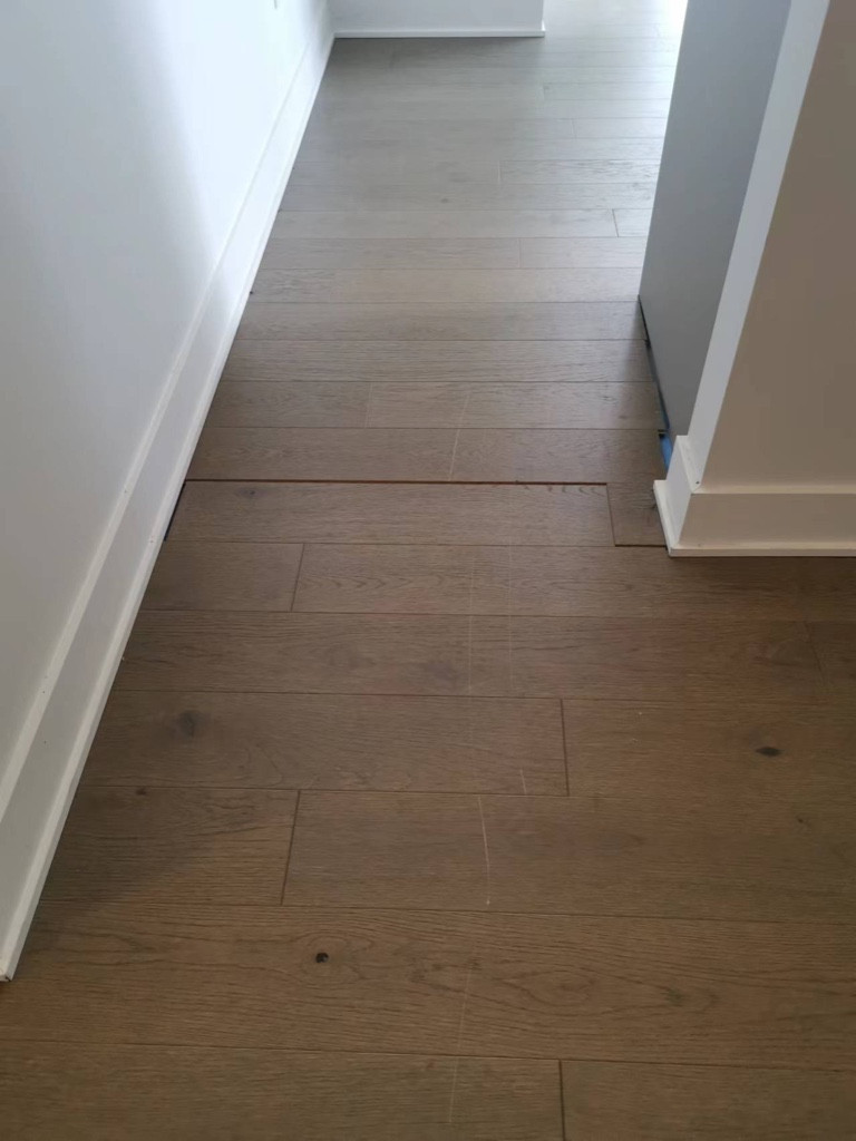 Second photo by Morgan Juliana of Canadian Principal Movers - Large