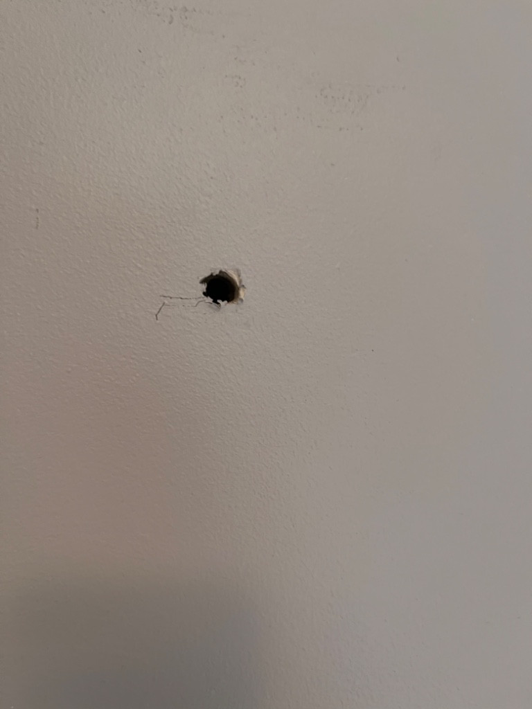 Photo by Jenn Delvecchio of All Mighty Relocation LLC - Large