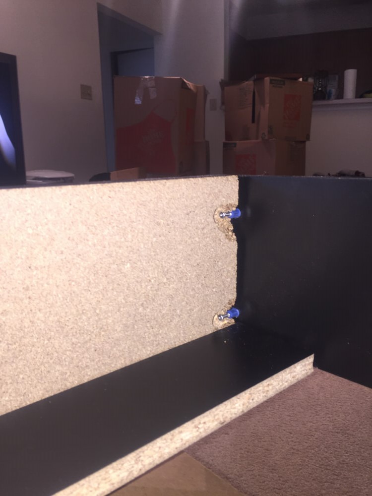 Photo by Adriana of DC Pro Moving and Storage - Large