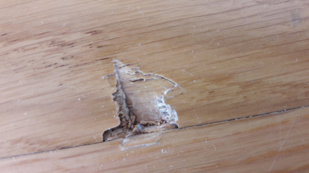 Photo by Jochen of Rote Radler - Large