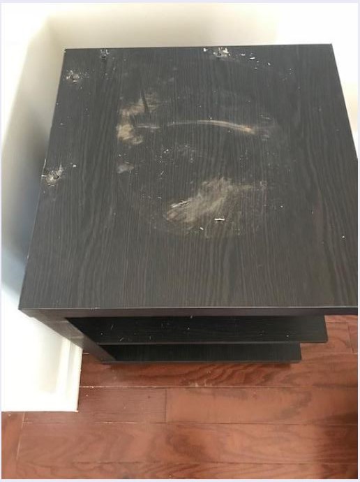 Second photo by Janice Jacobs of Low Movers - Large