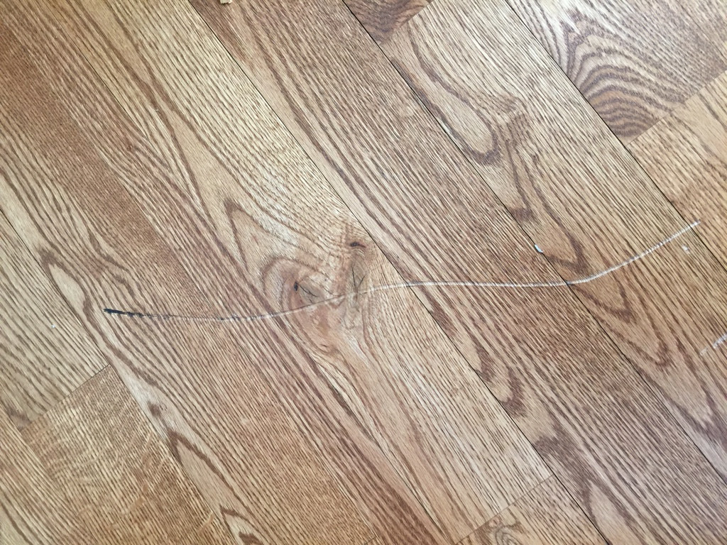 Photo by Frank Pugliano of 24/7 Logistic Services - Large