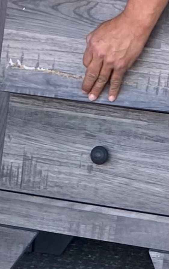 Second photo by Kristen Ryan of Rigos Moving Company - Large