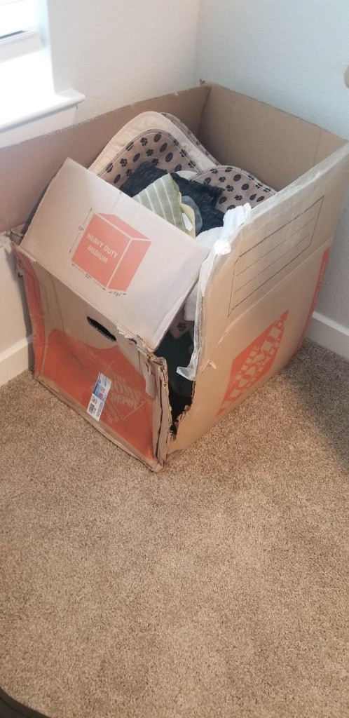 Photo by Sydney Hicks of McLaughlin Transportation Systems - Large