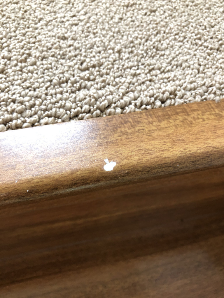 Photo by Caleb Lin of Aloha International Moving Services Inc - Large