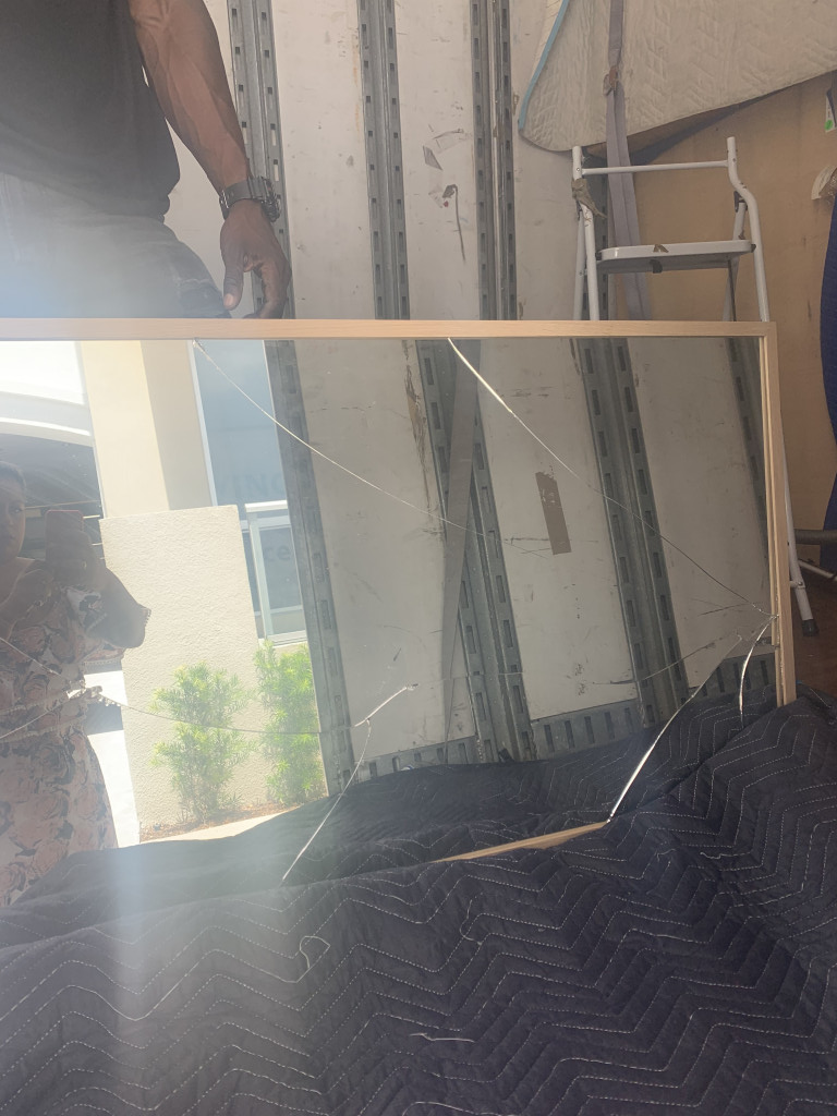 Photo by Kara Ramlogan of Dumbo Moving and Storage - Large