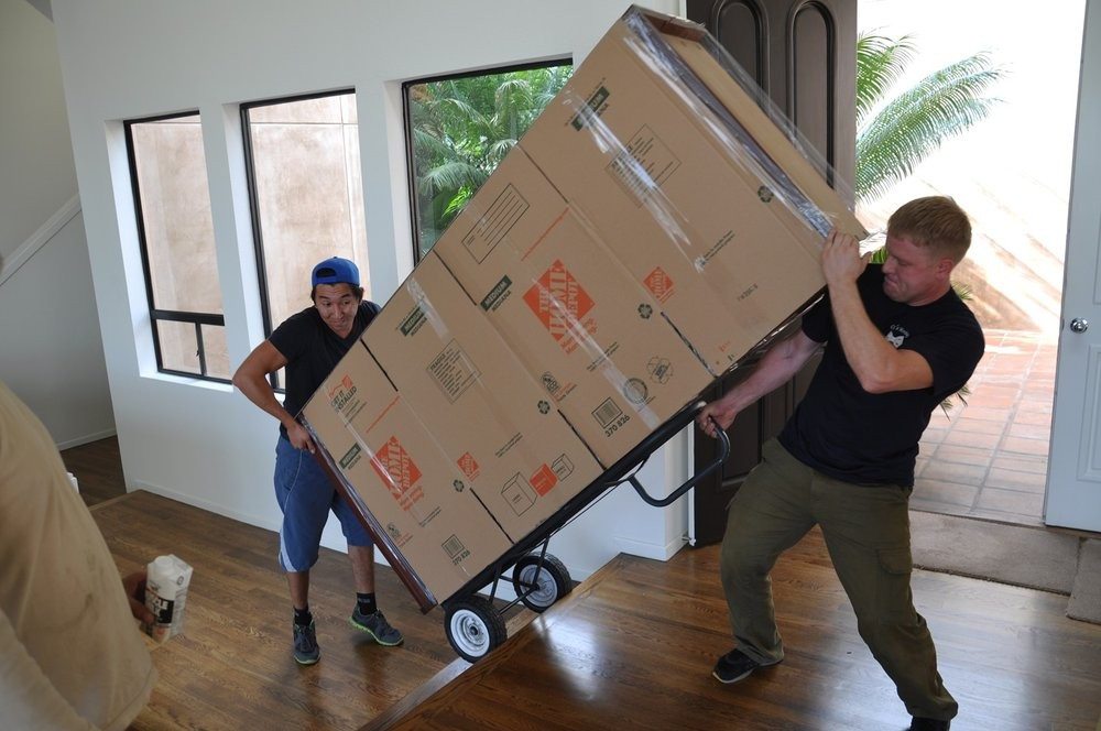 Photo by Nitzan Ben of United Transportation Moving & Storage - Large