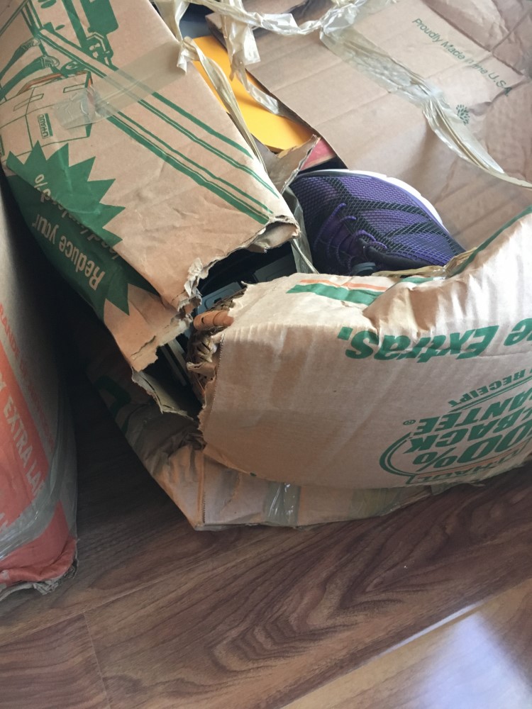 Photo by Patricia Uzmann of American Eagle Moving Company - Large