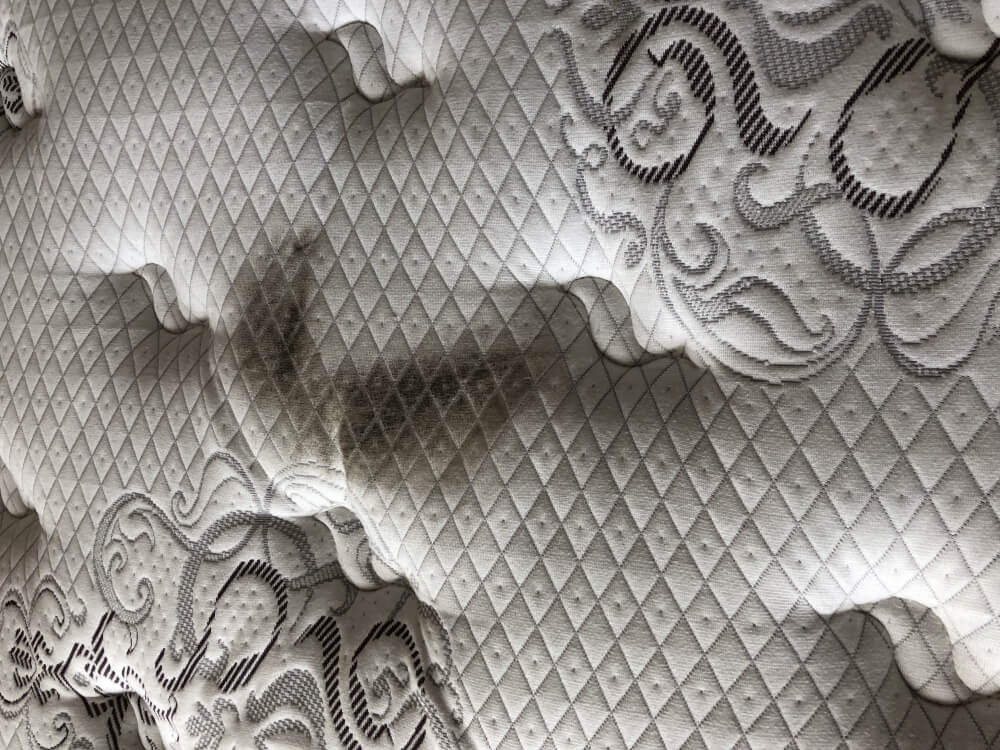 Second photo by Wayne Mcdowell of All My Sons Moving and Storage - Large