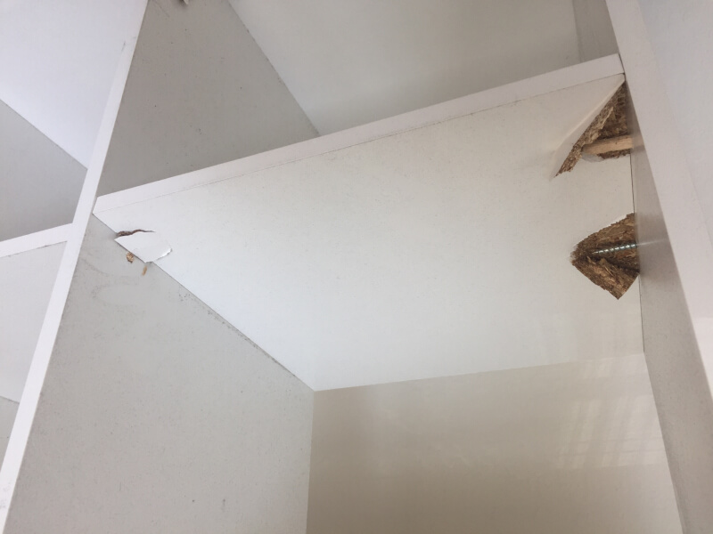 Photo by Jessica Reynolds of International Van Lines - Large