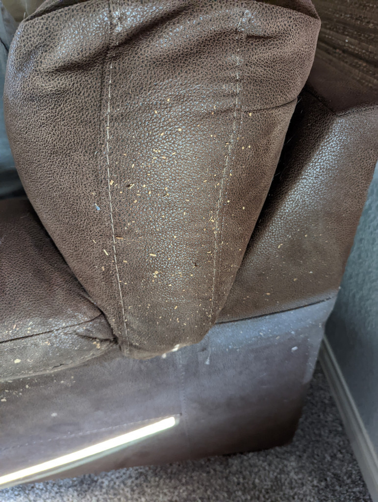 Photo by Kyle Smith of Starving Students - Large