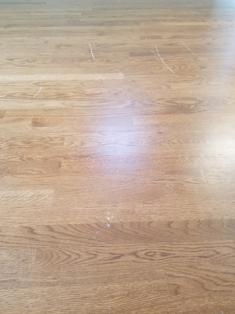 Photo by Kimberly Buddy of EZ Movers - Large