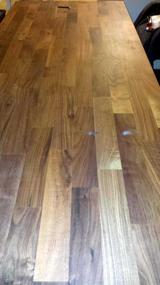 Photo by Jose of Zippy Shell Incorporated - Large