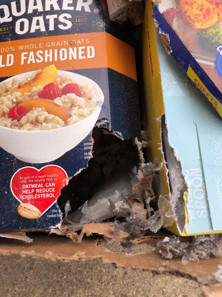 Photo by Bhru Patel of Safeway Moving Systems - Large