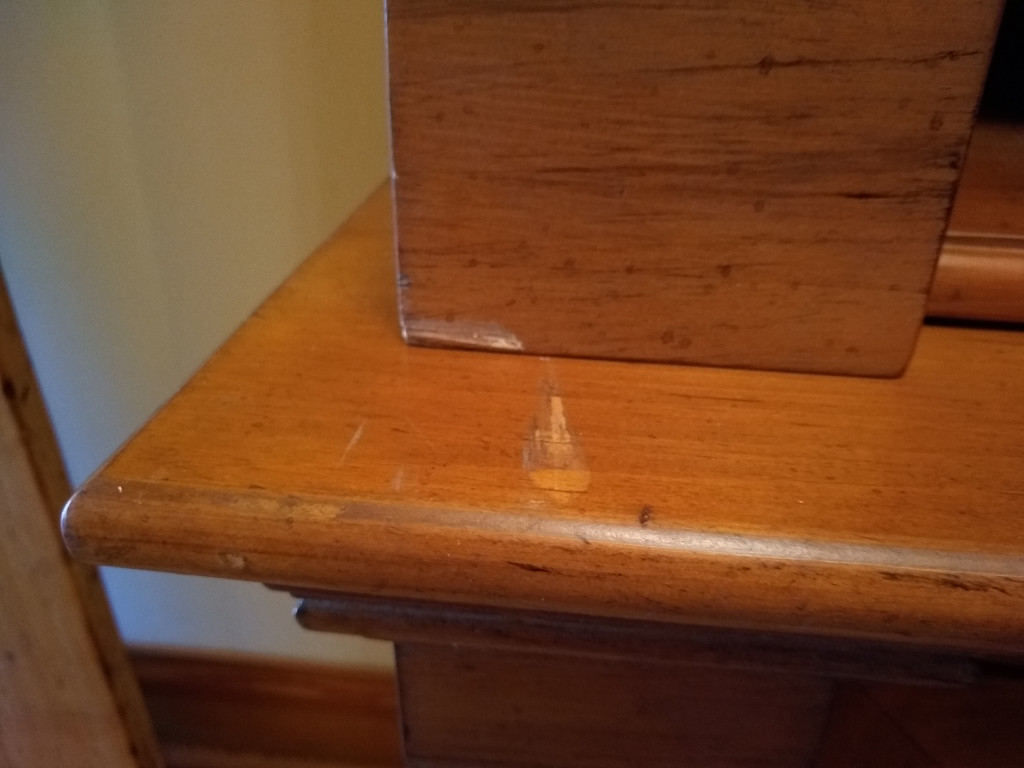 Photo by Eileen Maroney of Coleman American Moving - Large