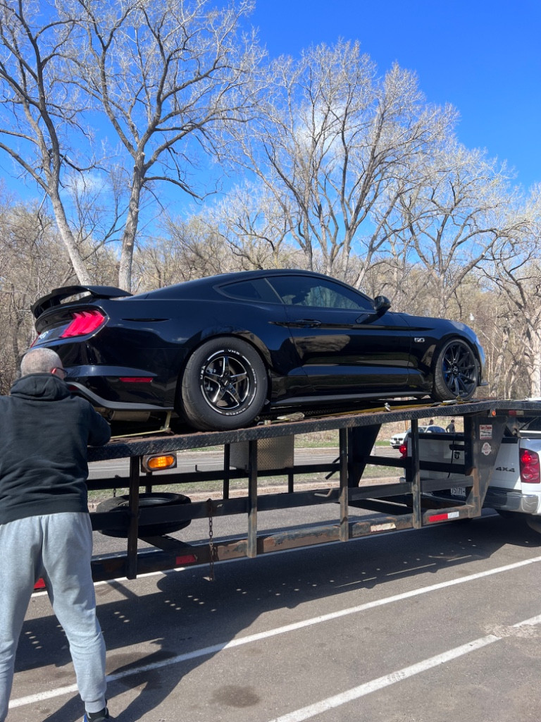 Photo by Benjamin Dimapelis of Safeeds Transport Inc - Large