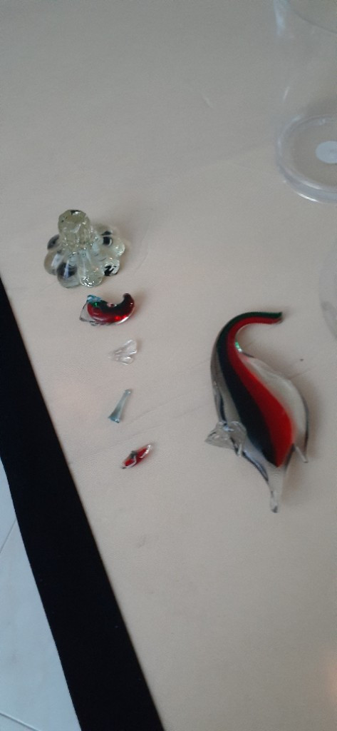 Photo by Ann Shaffer of All Mighty Relocation LLC - Large