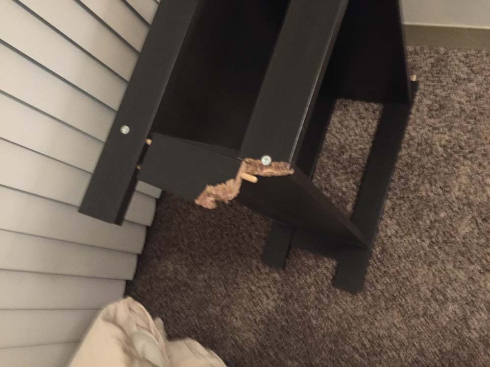 Second photo by Robin of EZ Moving Van Lines Inc. - Large