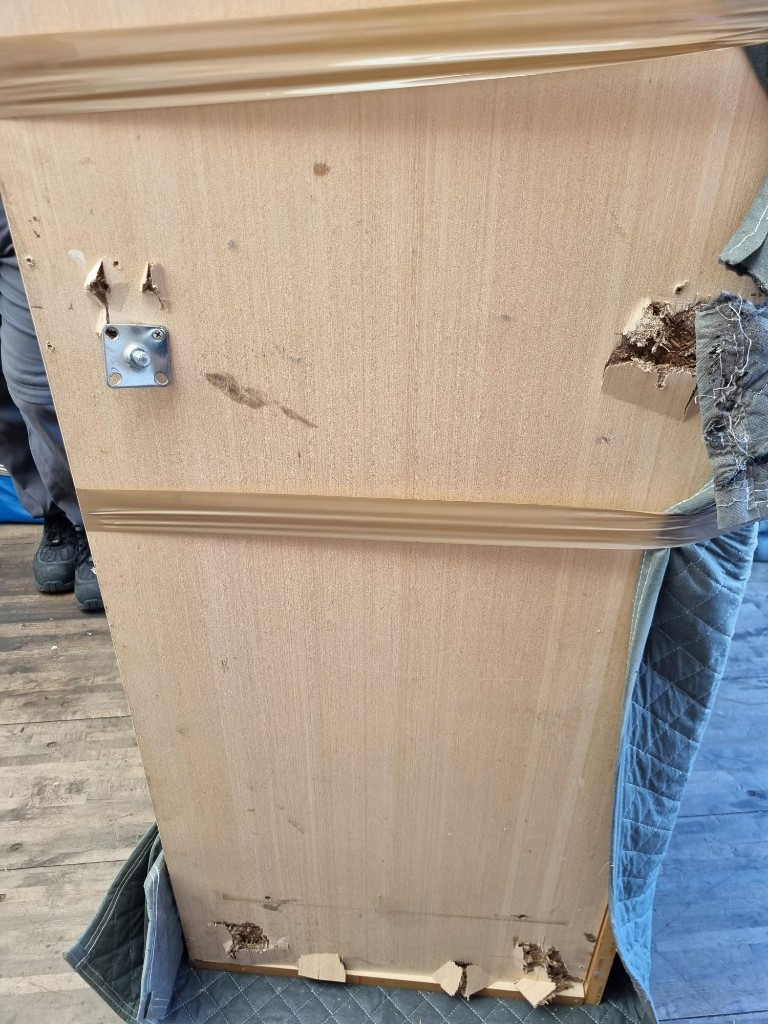 Photo by Mayan Gilly of Enterprise Moving - Large