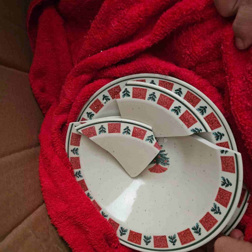 Second photo by Kehila Vazquez of La Rosa Del Monte Moving Company - Large