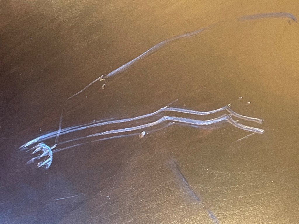 Second photo by Mary Jones of Proud American Vanlines - Large