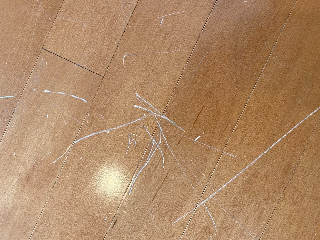 Photo by Jane Kelly of Full Nation Moving LLC - Large