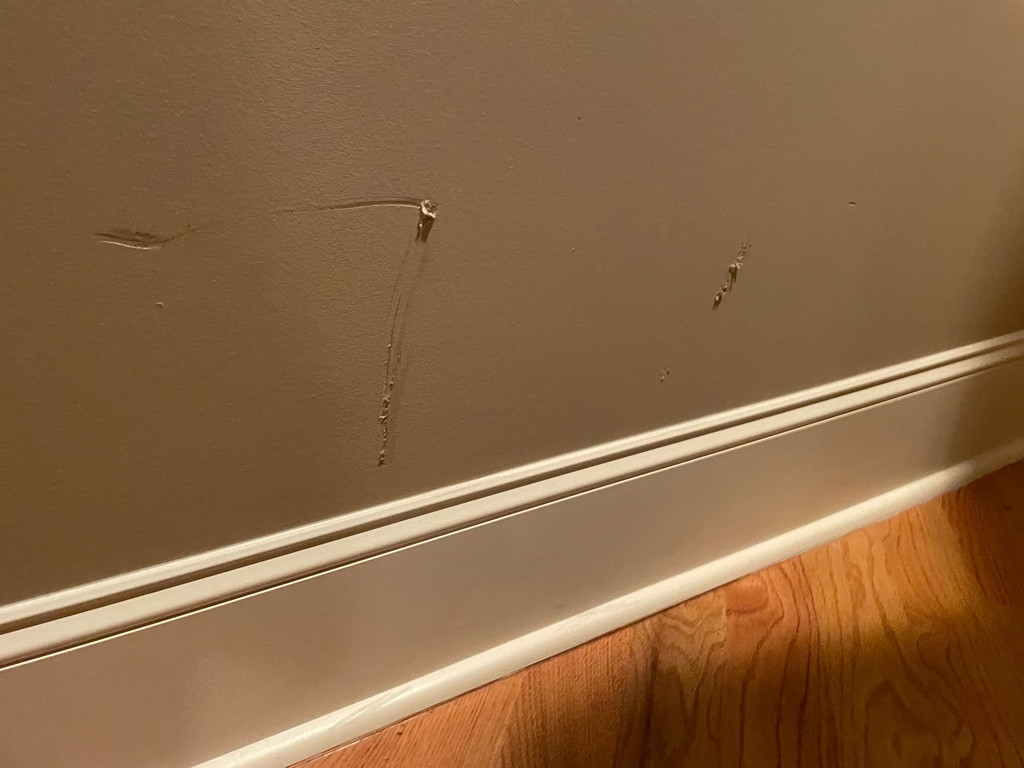 Second photo by Gretchen Shay of Nationwide Moving Services Inc - Large