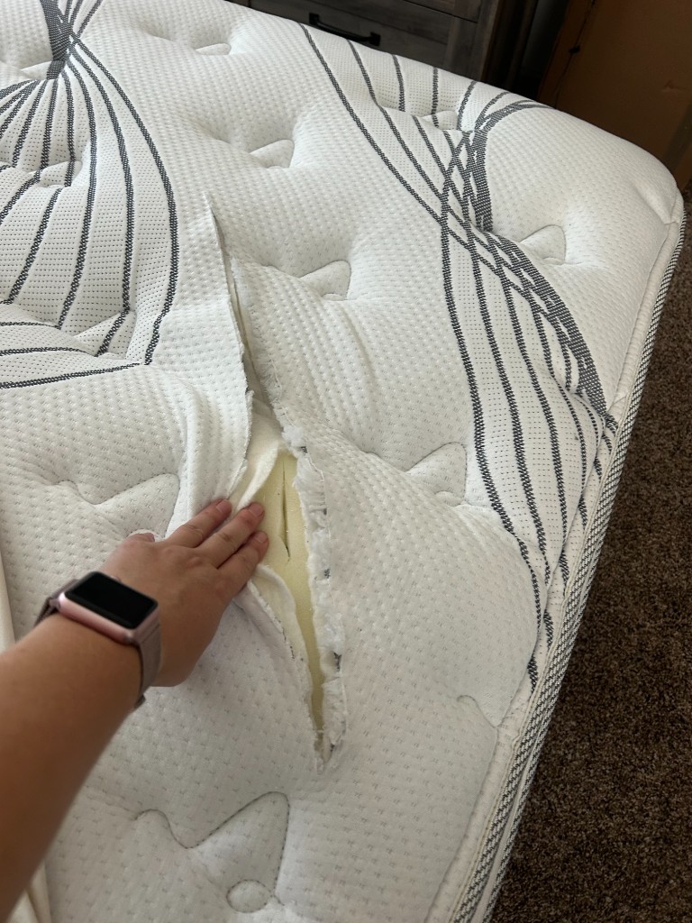 Photo by Jill Kleiner of Helix Moving And Storage - Large