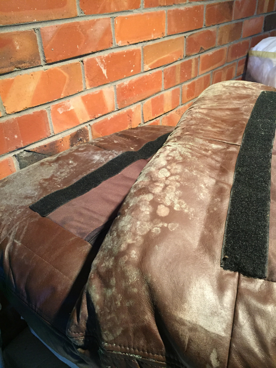 Photo by Nicole Stephens of Pickfords - Large