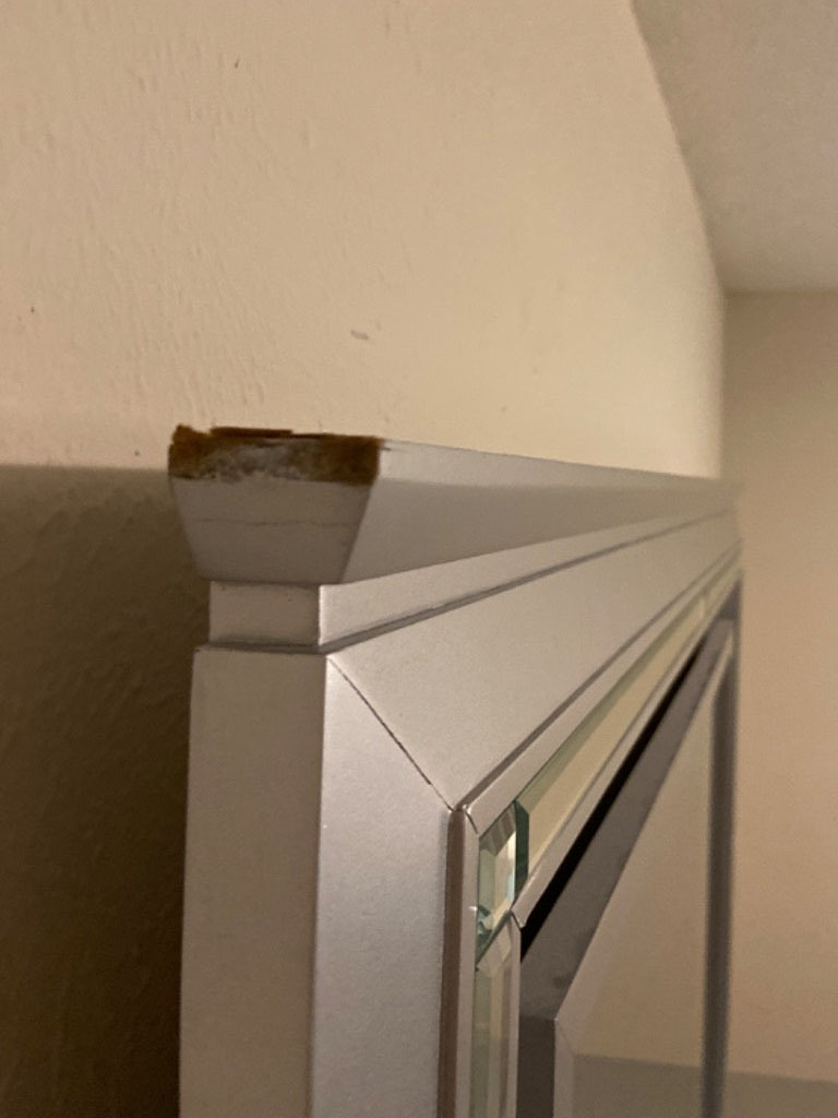 Second photo by Marie Madrid of Express Vanline - Large