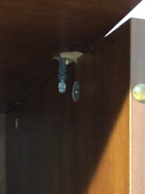 Photo by Sheila Reilly of College Hunks Hauling Junk & Moving - Large