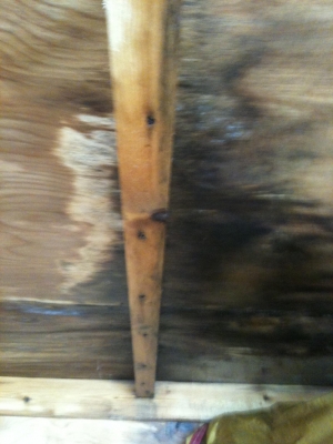 Second photo by Melinda of Pickfords - Large